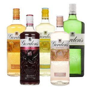 Gordons Gin (Single)